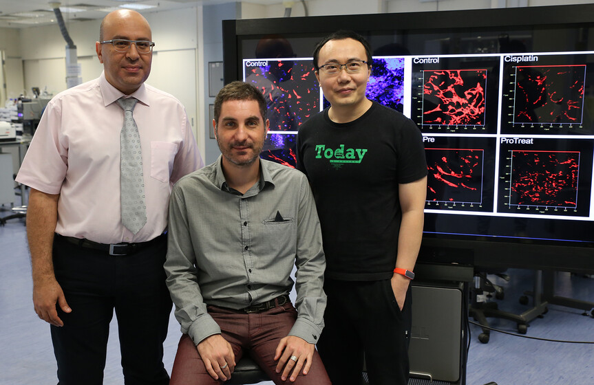 HKU develops novel probiotic mixture “Prohep” that may offer potential therapeutic effects on liver cancer gallery photo 1