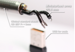 Success story: Endoscopic surgery by robot
