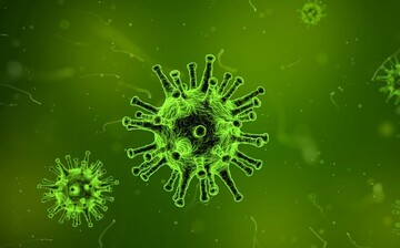 Delivery and expression systems for anti-viral therapeutic molecules
