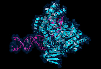 CombiSEAL: New Pathfinder for New Protein Discovery