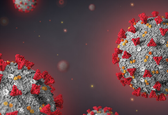 Metallodrug Ranitidine Bismuth Citrate as an Anti-COVID 19 Agent