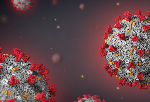 Metallodrug Ranitidine Bismuth Citrate as an Anti-COVID 19 Agent