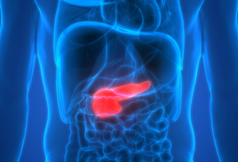 Anti-Nidogen-1 Neutralizing Antibody: Potential Treatment for Hepatocellular Carcinoma