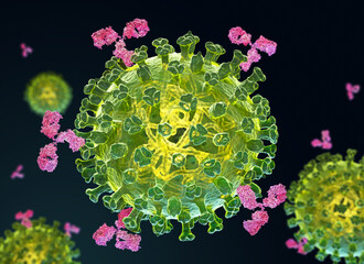Broadly Neutralizing Antibodies & Robust Cellular Immunity Elicited by DNA Motif