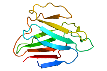 Novel Anti-aging Agents as SIRT1 Activators
