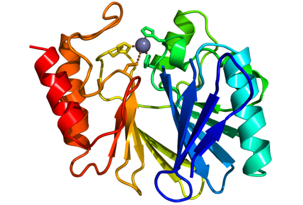 A New Class of Metallo-β-lactamases inhibitors Against Antibacterial Resistance