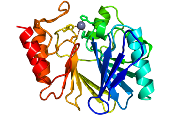 A New Class of Metallo-β-lactamases inhibitors Against Antibacterial Resistance