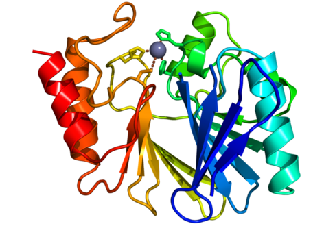 A New Class of Metallo-β-lactamases inhibitors Against Antibacterial Resistance