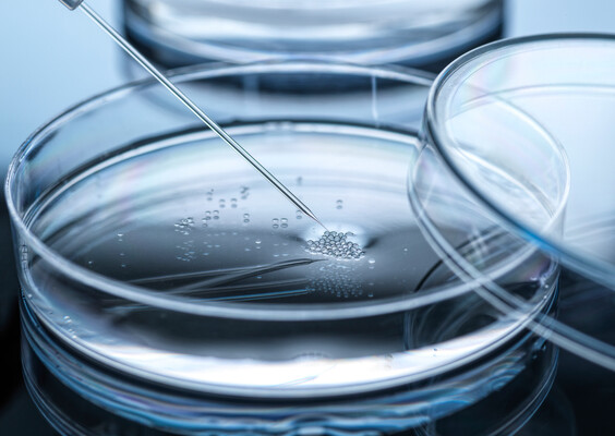 Bio-Engineered Bacteria for Cancer Therapy