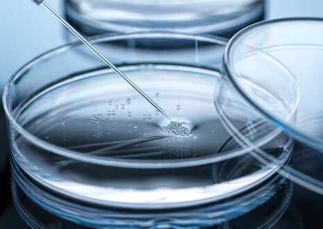 Bio-Engineered Bacteria for Cancer Therapy