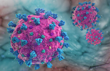 A Dual-Functional Antiviral Peptide Inhibits Two Entry Pathways of SARS-CoV-2