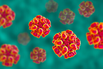 Virus Like Particles (VLP) for the Diagnosis of and Protection Against Rat Hepatitis E Infection