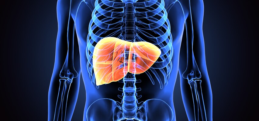 Fecal Microbial Biomarkers for Non-Alcoholic Fatty Liver Disease