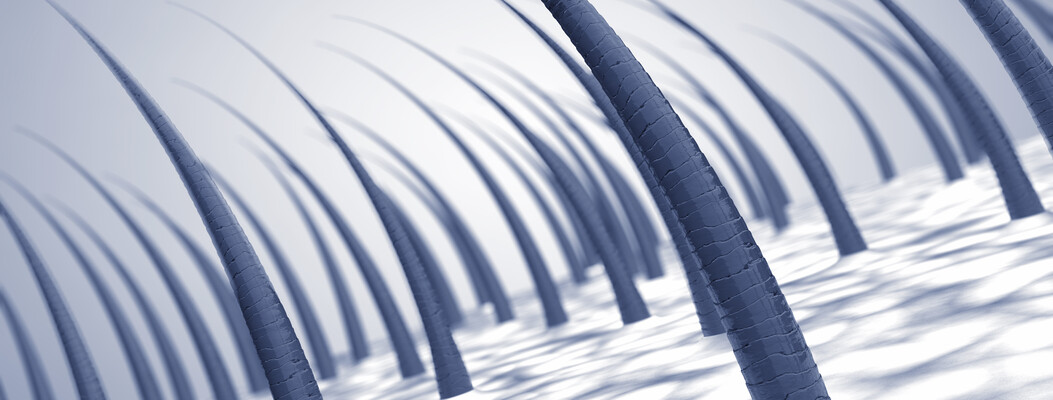 Bioengineered Hair Follicles