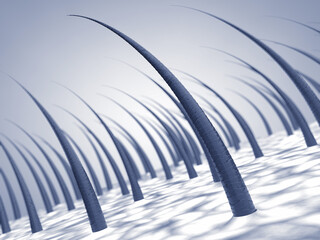 Bioengineered Hair Follicles