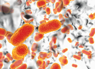 Synthetic Bacteria Vaccine Against Antibiotics Resistant Bacteria