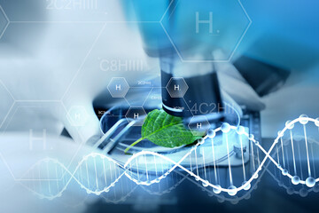 Anti-HER2 and Anti-IGF-IR Bi-specific Antibodies for Ovarian Cancers