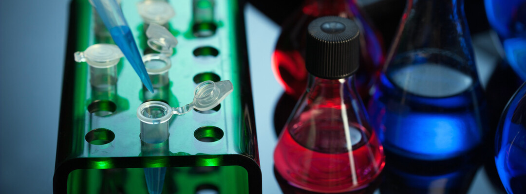 Daidzein and other Analogs as Agents for Purging HIV Reservoir