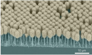 World’s First Light-Seeking Nanorobots for Potential Biomedical Applications