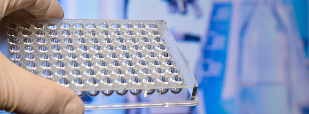 A Simple and Cost Effective Method for Making Hole Transport Layer (HTL) Materials for Organic Electronics 