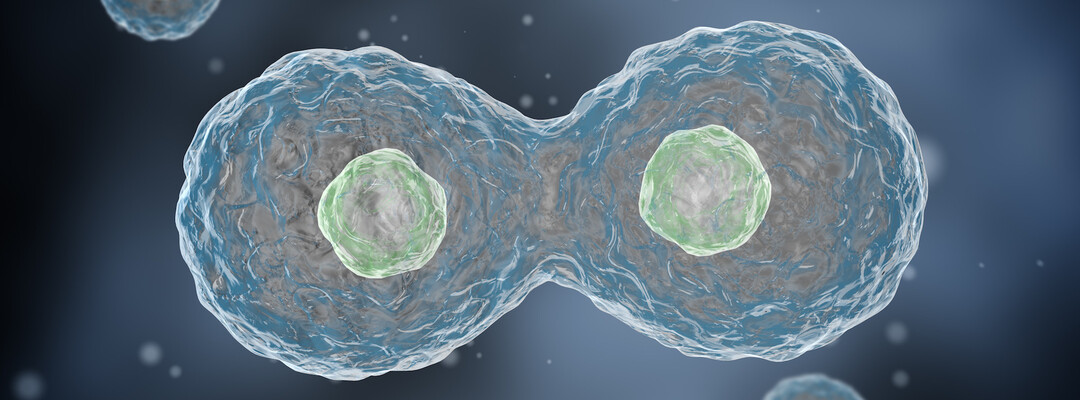 Novel Encapsulation Technology for Encapsulation of Active Ingredients