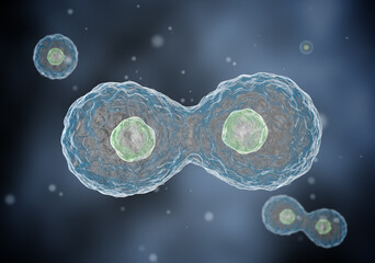 Novel Encapsulation Technology for Encapsulation of Active Ingredients