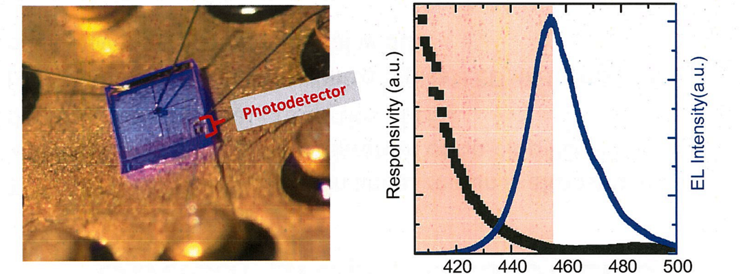 LEDs with Monolithically-Integrated Photodetectors for In-situ Real-Time Intensity Monitoring