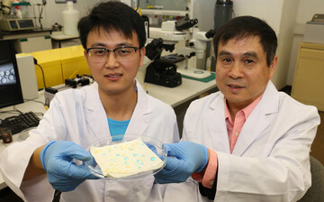Novel Omniphobic Porous Membranes and Coatings