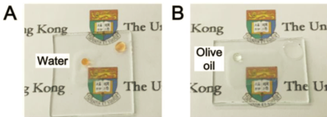 Technology Section Slider 1